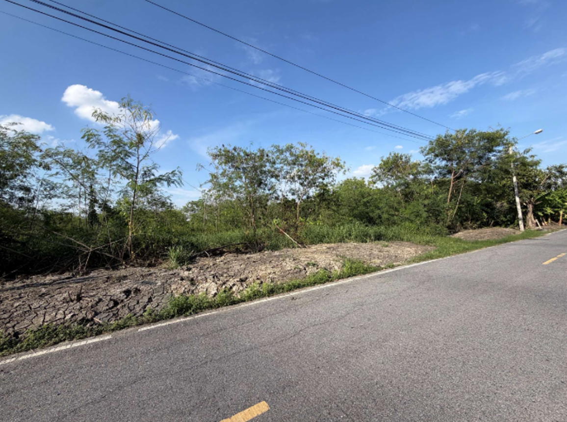 Empty Land in Thanyaburi, Nonthaburi