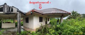 ที่ดินพร้อมสิ่งปลูกสร้าง ตะโหมด จังหวัดพัทลุง