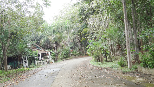 บ้านเดี่ยว โครงการล้านนาคันทรีปาร์ค เมืองลำปาง