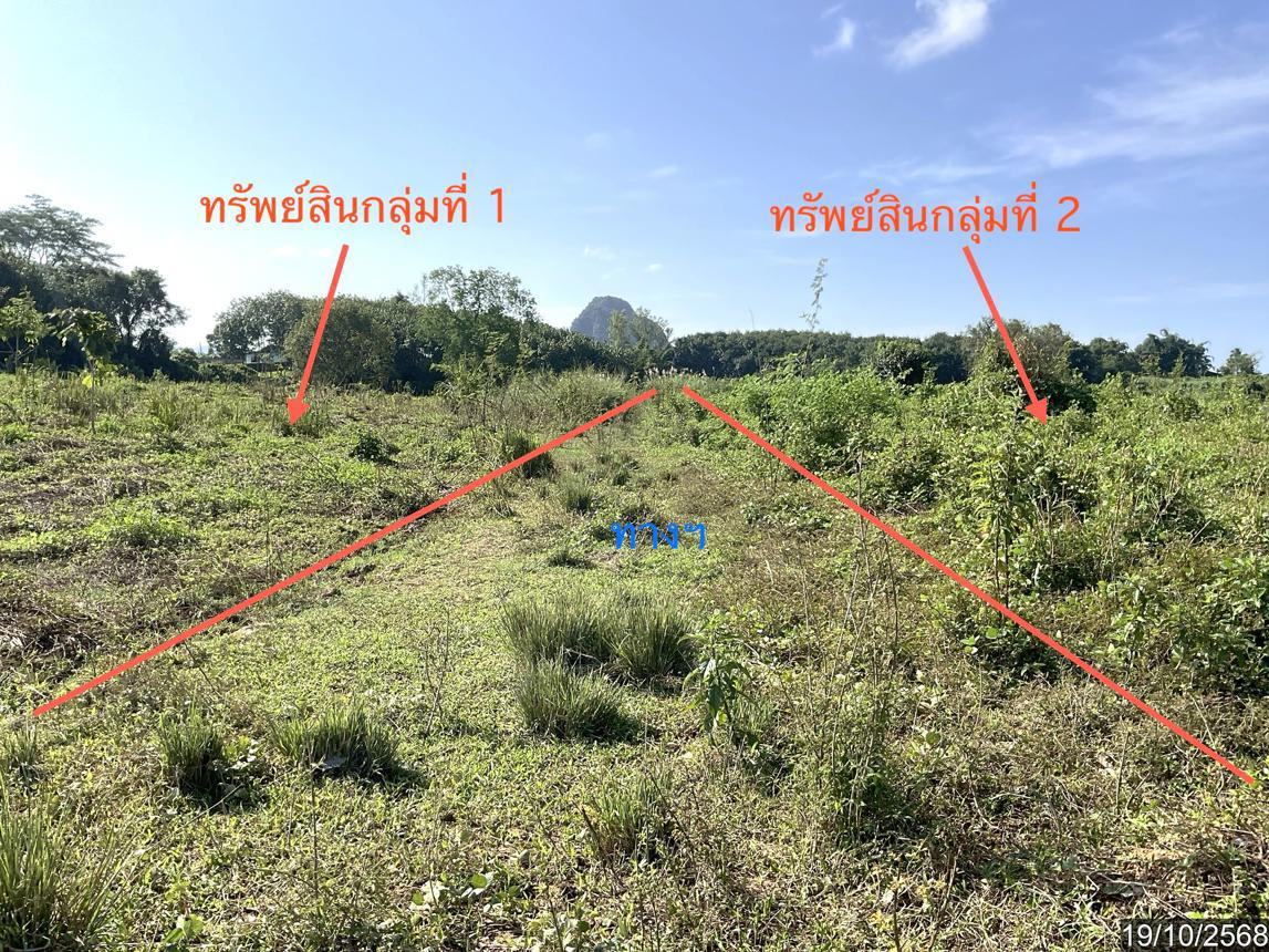 Empty Land, Viang Chai, Chiang Rai