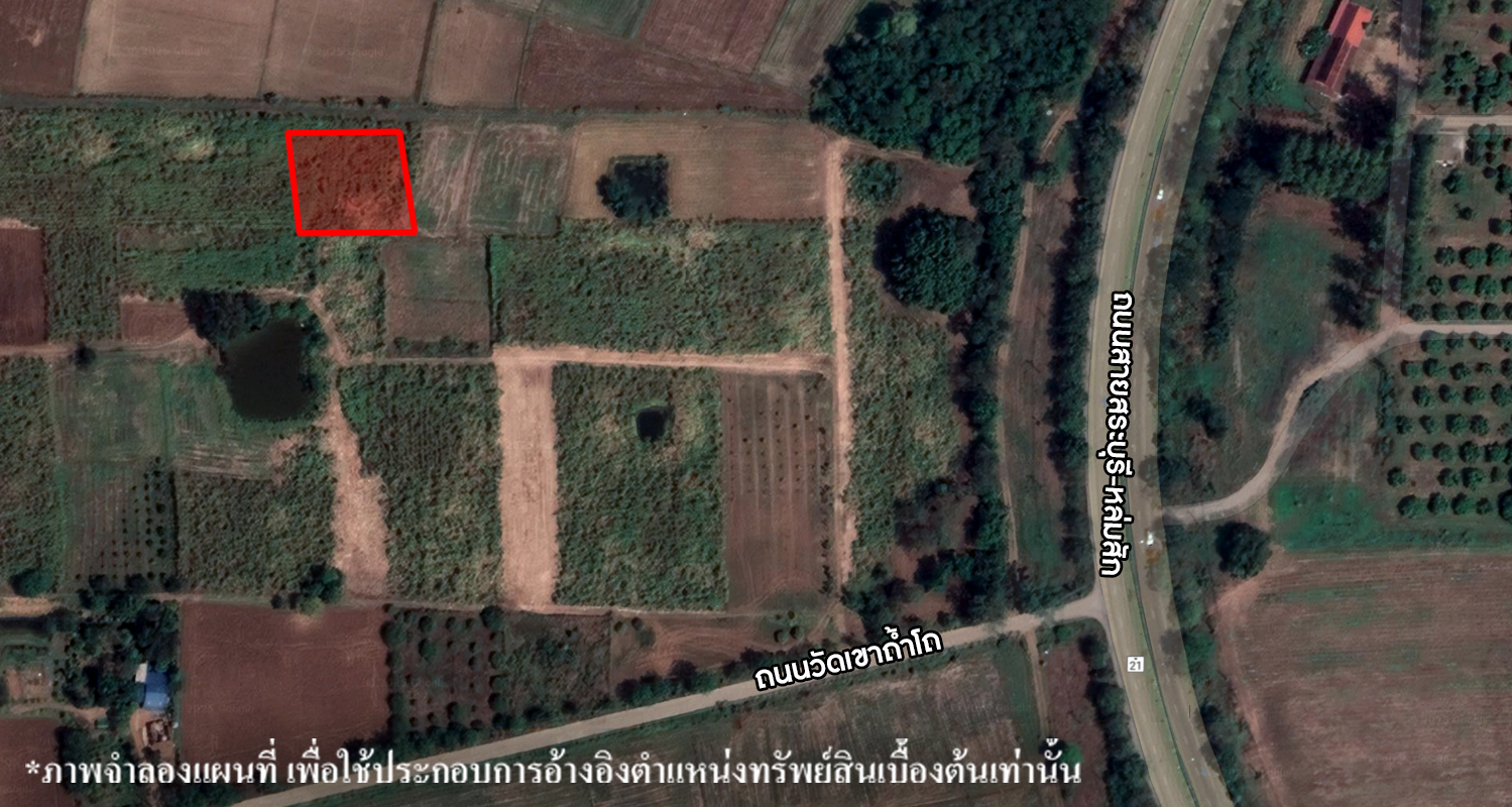 ที่ดินเปล่า หนองไผ่ เพชรบูรณ์