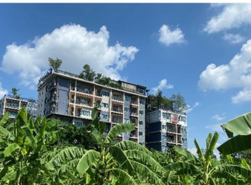 TRAMS Condominium, Chiang Mai
