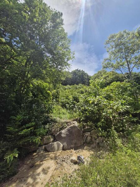 Absolutely Unique! Perfect Sea View Land for Sale in Ban Tai, Koh Phangan – Stunning 180° Panorama, Surat Thani
