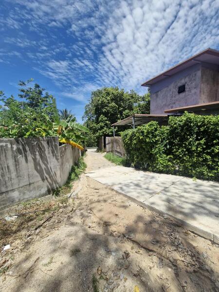 Absolutely Unique! Perfect Sea View Land for Sale in Ban Tai, Koh Phangan – Stunning 180° Panorama, Surat Thani