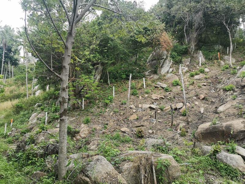 Absolutely Unique! Perfect Sea View Land for Sale in Ban Tai, Koh Phangan – Stunning 180° Panorama, Surat Thani