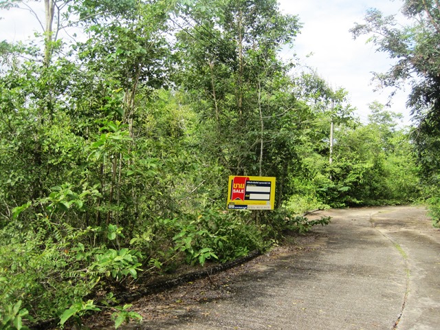 Empty land, Lanna Nakorn Country Park project, Lamphun