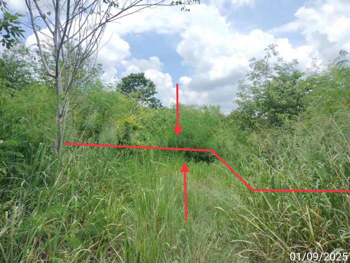 Vacant Land in Wang Mueang, Saraburi