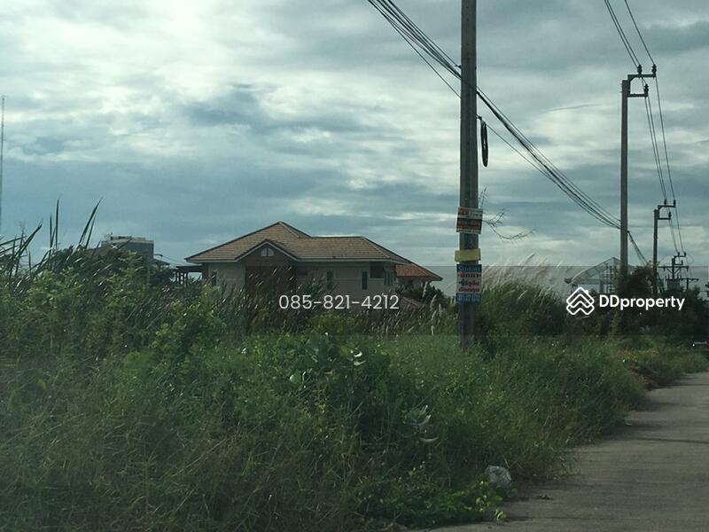 ที่ดินเปล่า 186 ตร.ว. ซอย ลาซาล 54 สุขุมวิท105 เข้าซอยเพียง 150 ม., Bangkok