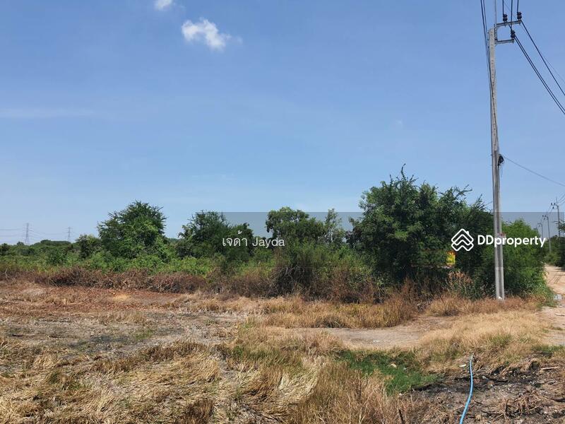 ที่ดิน600วากว้าง60ม.ลึก40ม คลองขวาง ไทรน้อย นนทบุรี, Nonthaburi