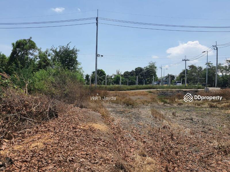 ที่ดิน600วากว้าง60ม.ลึก40ม คลองขวาง ไทรน้อย นนทบุรี, Nonthaburi