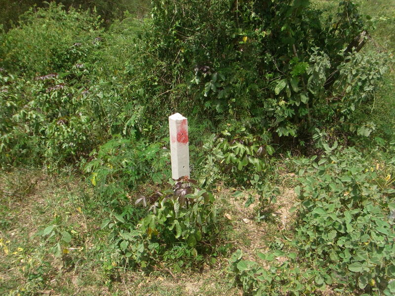ทีดิน 13ไร่ ตรงข้าม BIG BOOM FARM ซอยหนองไผ่ หัวหิน น่าลงทุน, Prachuap Khiri Khan