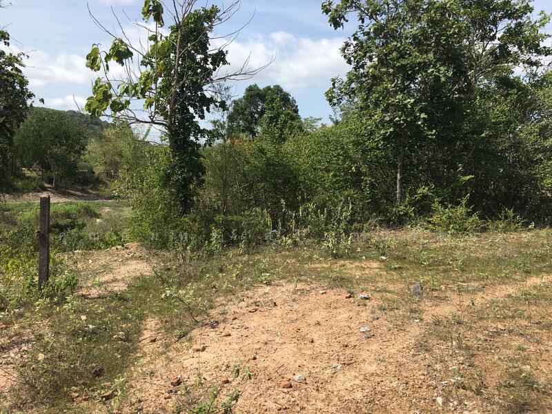 ทีดิน 13ไร่ ตรงข้าม BIG BOOM FARM ซอยหนองไผ่ หัวหิน น่าลงทุน, Prachuap Khiri Khan