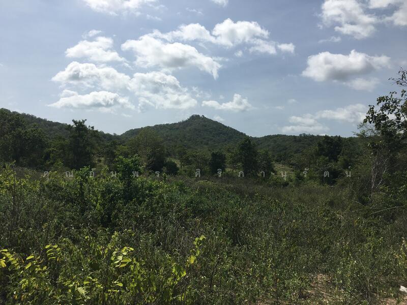 ทีดิน 13ไร่ ตรงข้าม BIG BOOM FARM ซอยหนองไผ่ หัวหิน น่าลงทุน, Prachuap Khiri Khan