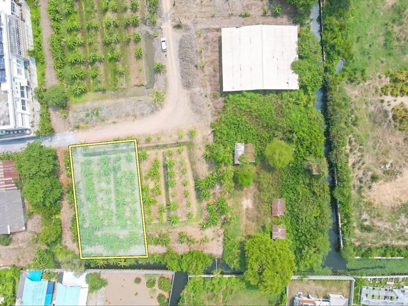 land for sell, Bangkok