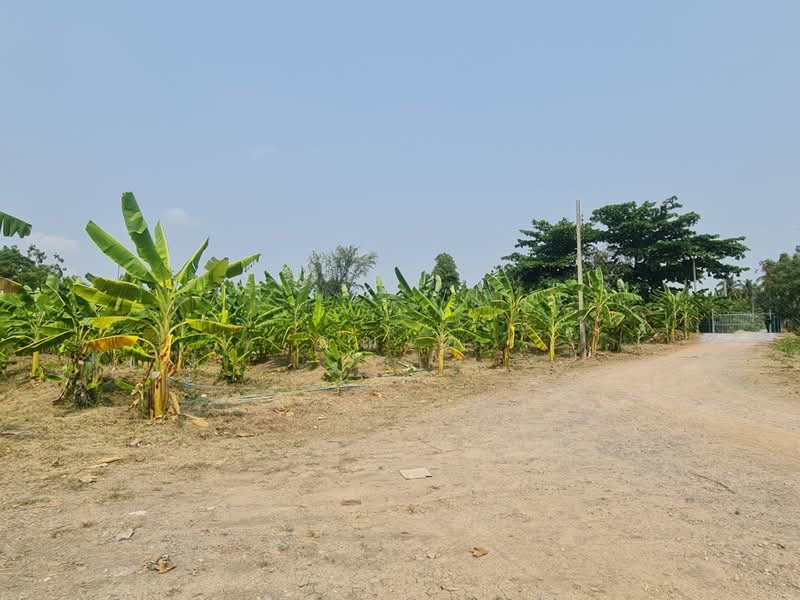 land for sell, Bangkok