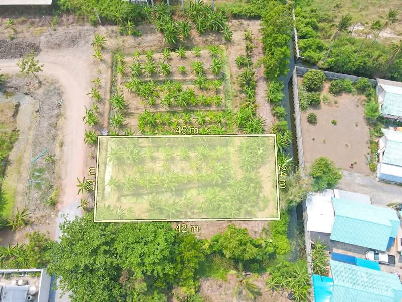 land for sell, Bangkok