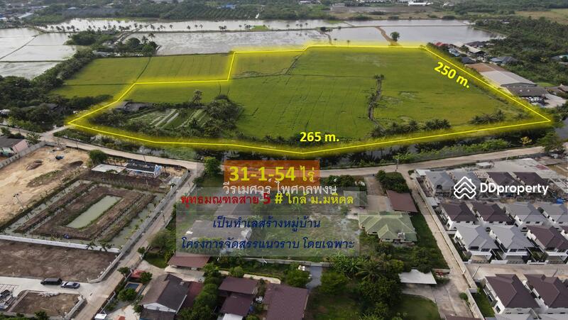 ที่ดิน พุทธมณฑลสาย 5 ใกล้ ม.มหิดล, Nakhon Pathom