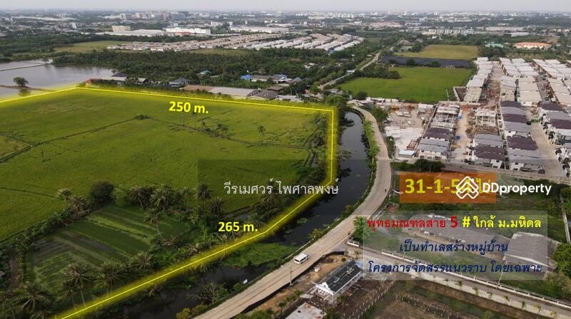 ที่ดิน พุทธมณฑลสาย 5 ใกล้ ม.มหิดล, Nakhon Pathom