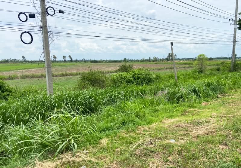 ที่ดินท่าตะโก นครสวรรค์, Nakhon Sawan