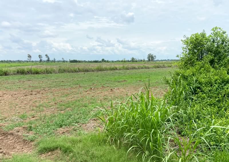 ที่ดินท่าตะโก นครสวรรค์, Nakhon Sawan