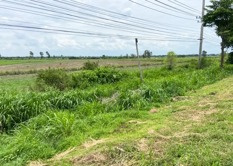 ที่ดินท่าตะโก นครสวรรค์, Nakhon Sawan