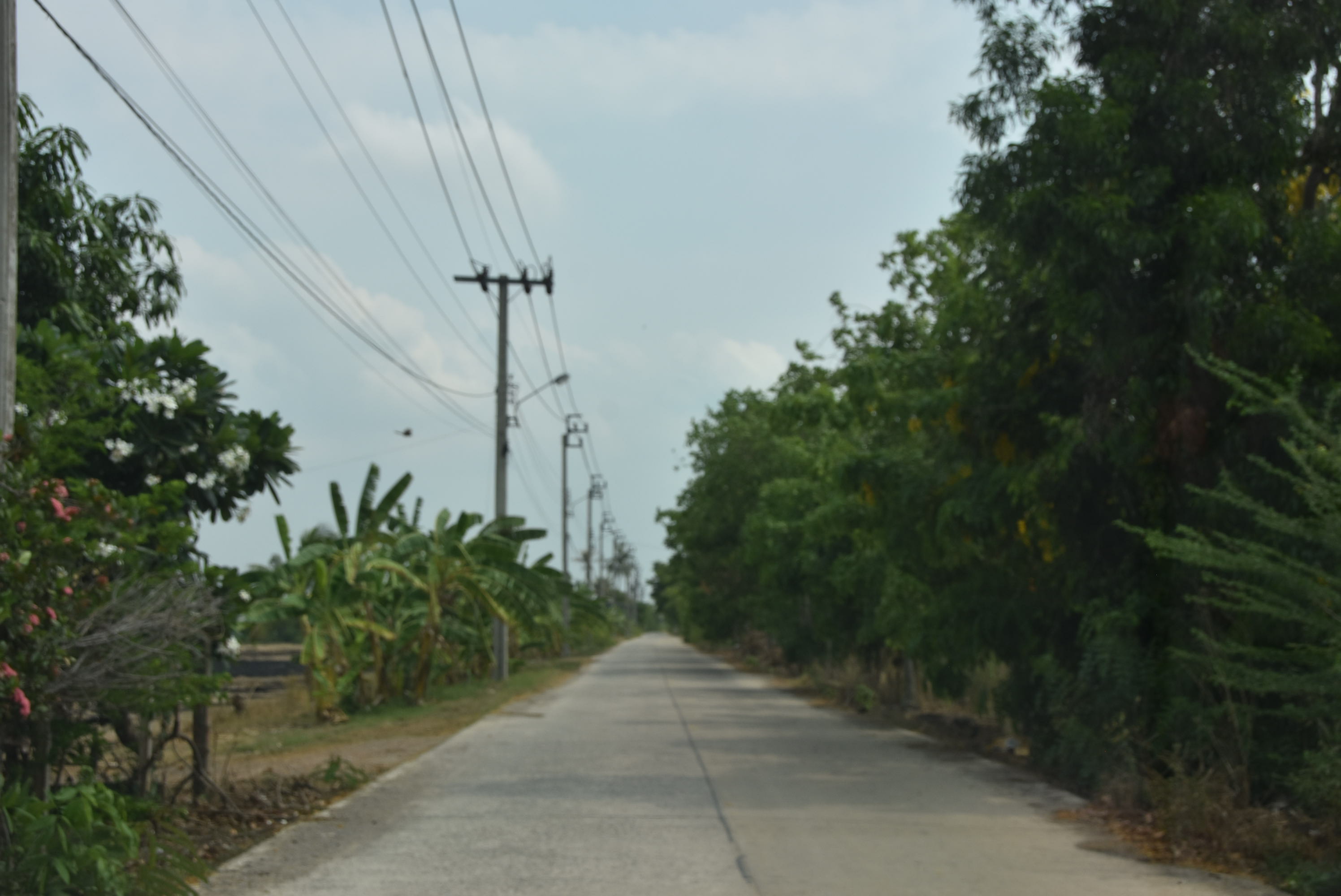 ที่ดินเปล่า ไทรน้อย นนทบุรี