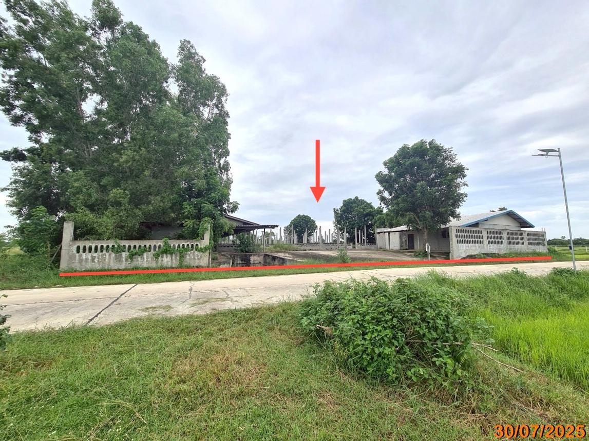 Farm in Krasang, Buriram