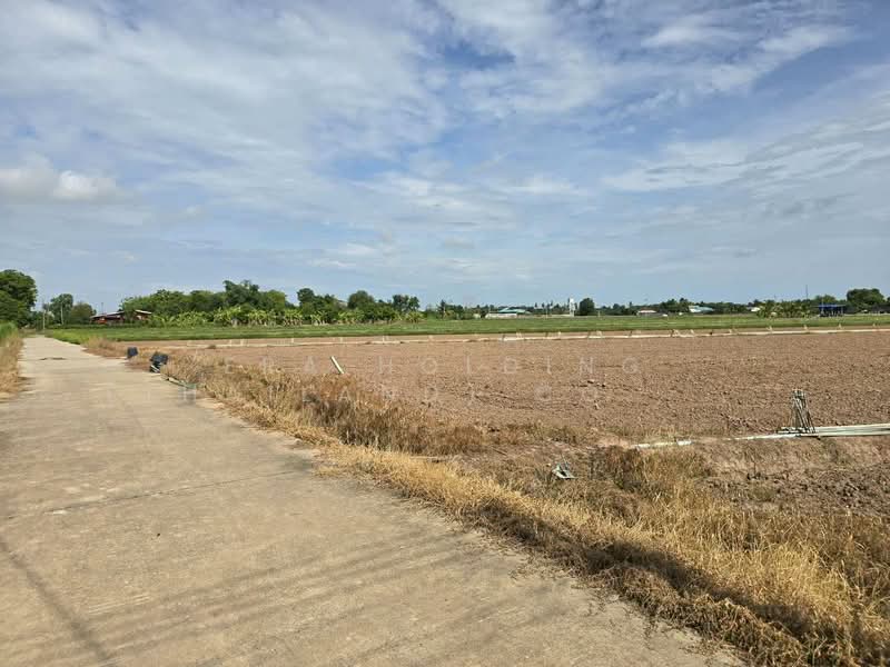 ที่ดินพร้อมพัฒนา น้ำ-ไฟเข้าถึง ทำเลดีในชุมชน เมืองพิษณุโลก, Phitsanulok
