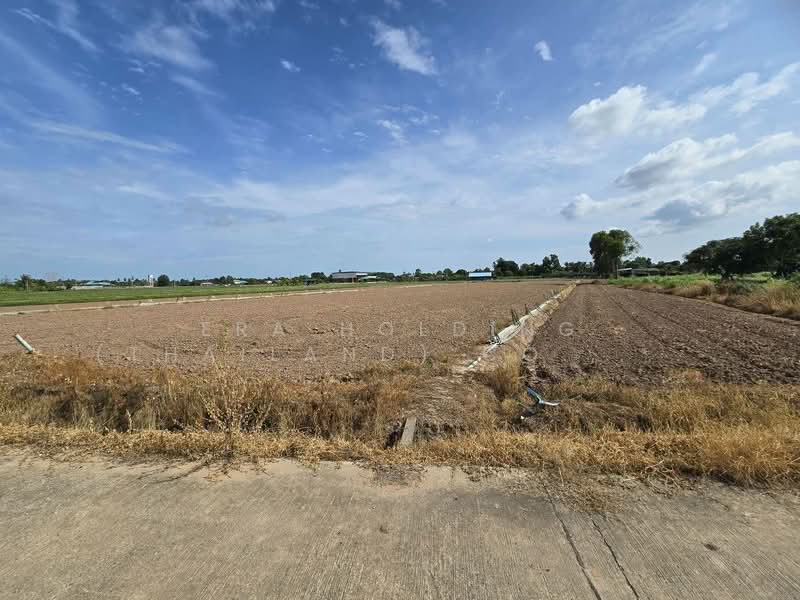 ที่ดินพร้อมพัฒนา น้ำ-ไฟเข้าถึง ทำเลดีในชุมชน เมืองพิษณุโลก, Phitsanulok