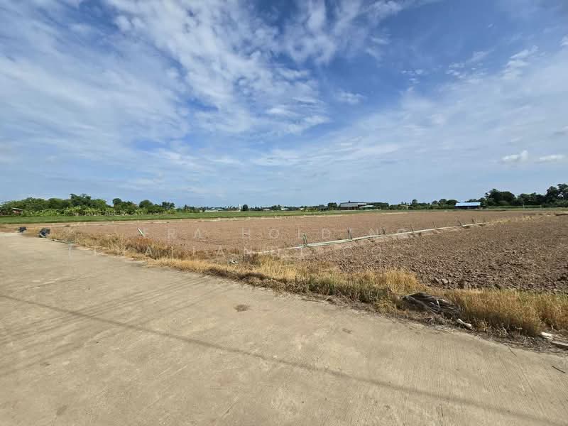 ที่ดินพร้อมพัฒนา น้ำ-ไฟเข้าถึง ทำเลดีในชุมชน เมืองพิษณุโลก, Phitsanulok