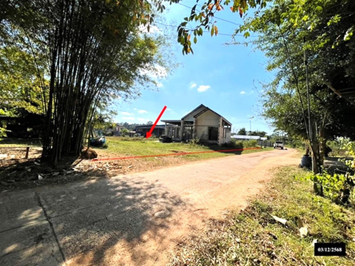 Single House Stargazing Sakon Nakhon