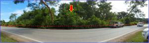 ที่ดินเปล่า เมืองหนองบัวลำภู จังหวัดหนองบัวลำภู