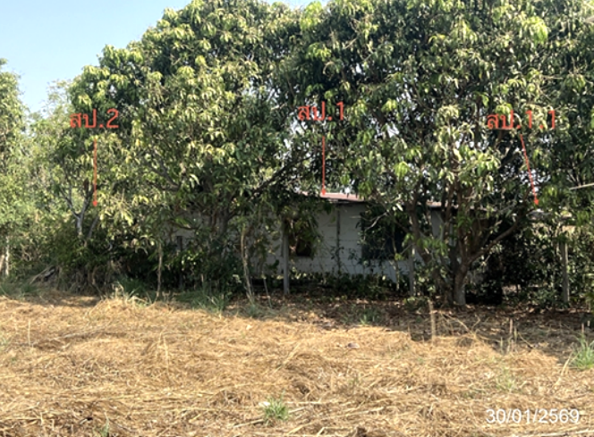 บ้านเดี่ยว ศรีมโหสถ ปราจีนบุรี