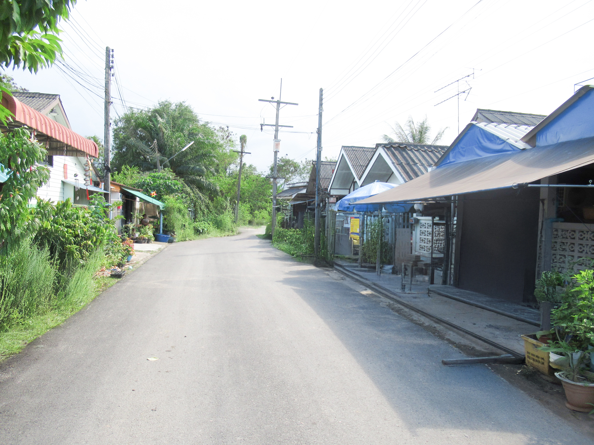 บ้านเดี่ยว ซอยกาญจนวิถี 25 เมืองสุราษฎร์ธานี
