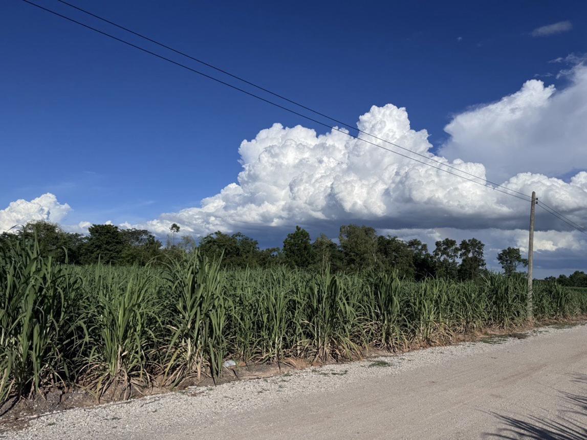 ที่ดินว่างเปล่า ศรีบุญเรือง หนองบัวลำภู