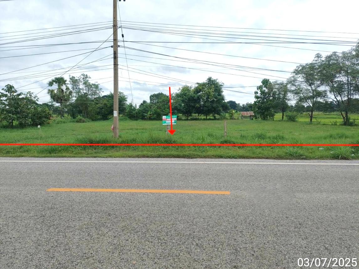 Empty land for sale in Chey Yen, Maha Sarakham province.