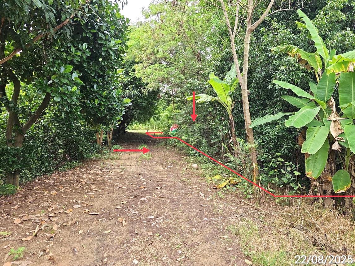 Vacant land, Mae Phraeng Hill, Phitsanulok