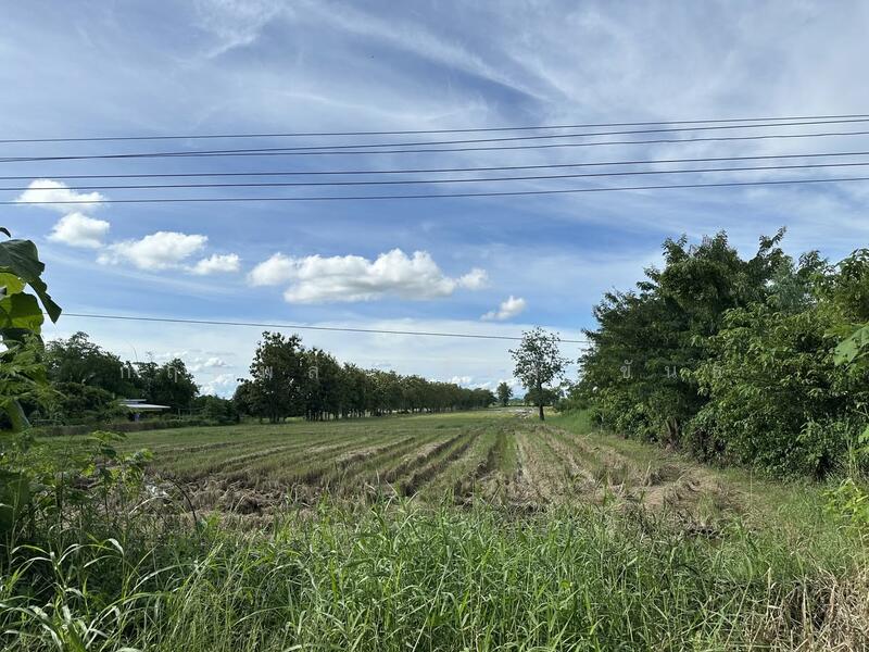 ขายที่ดินเปล่า 28 ไร่ 1 งาน 39 ตร.ว. – ต.คอรุม อ.พิชัย จ.อุตรดิตถ์, Uttaradit