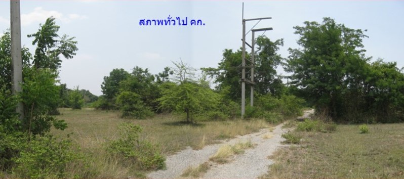1 Plot of Vacant Land