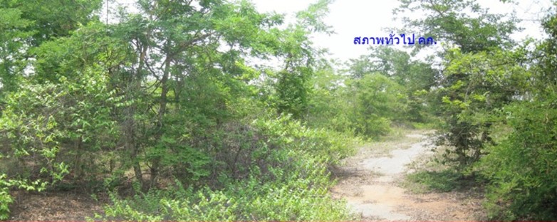 1 Plot of Vacant Land