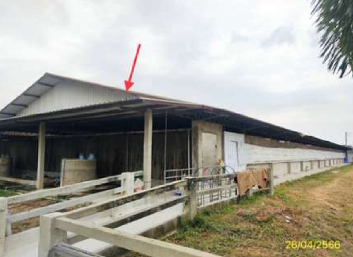 บ้านแฝด โพธาราม ราชบุรี