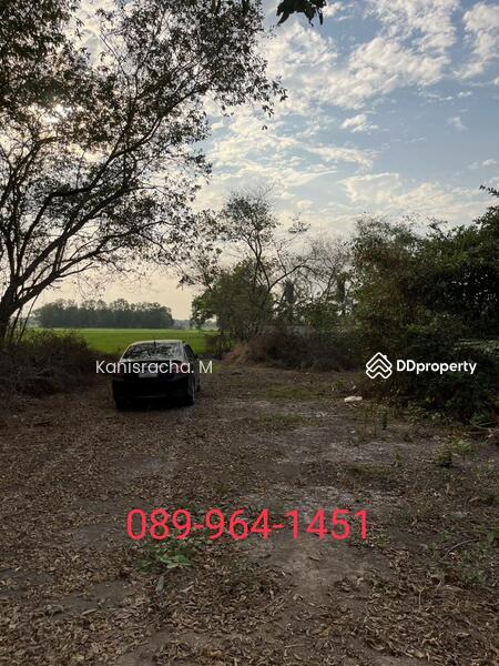 ขายที่ดิน ติดถนนลาดยาง 4 เลน ในชุมชน ปากพลี นครนายก, Nakhon Nayok