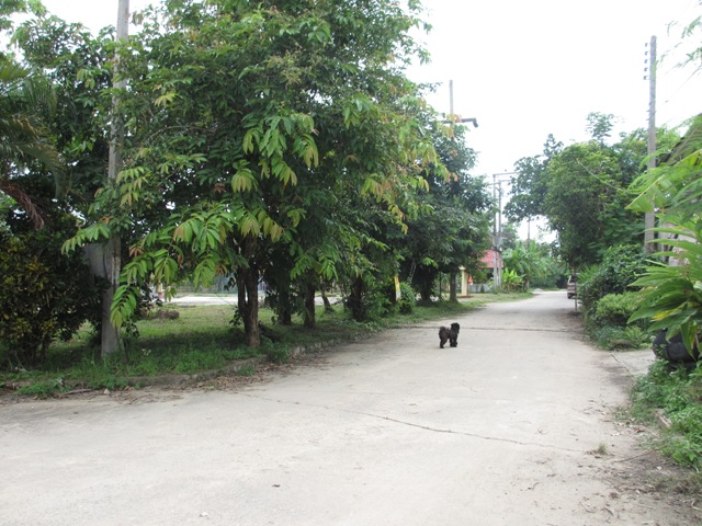 ที่ดินพร้อมสิ่งปลูกสร้าง โครงการบ้านเสนานคร 2 เมืองเชียงราย