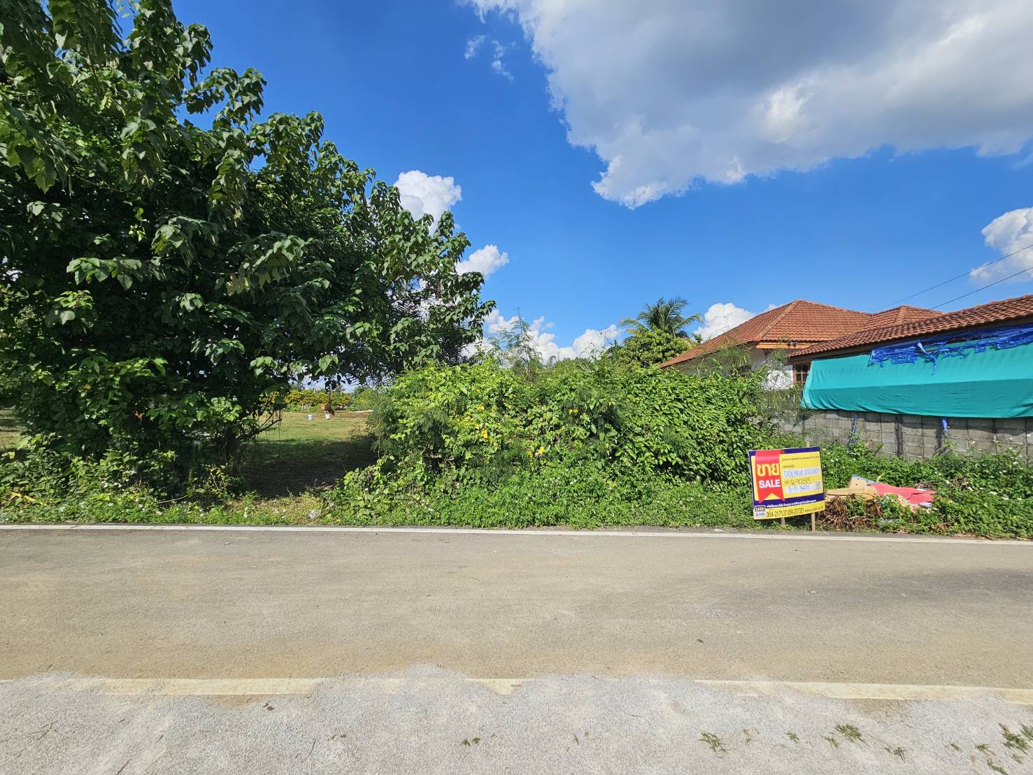 Empty land for sale in Lamphun Province