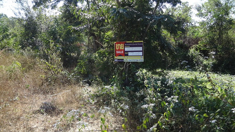 Empty land for sale in Lamphun Province