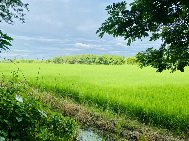 คลองถนน, Nonthaburi