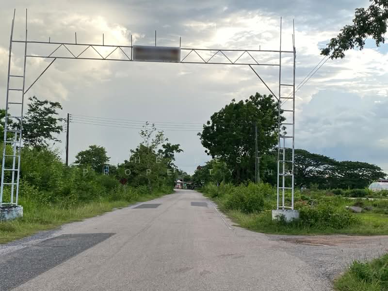 ที่ดินโนนสัง หนองบัวลำภู, Nong Bua Lam Phu