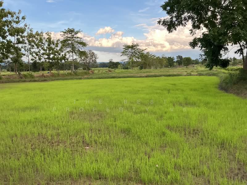 ที่ดินโนนสัง หนองบัวลำภู, Nong Bua Lam Phu