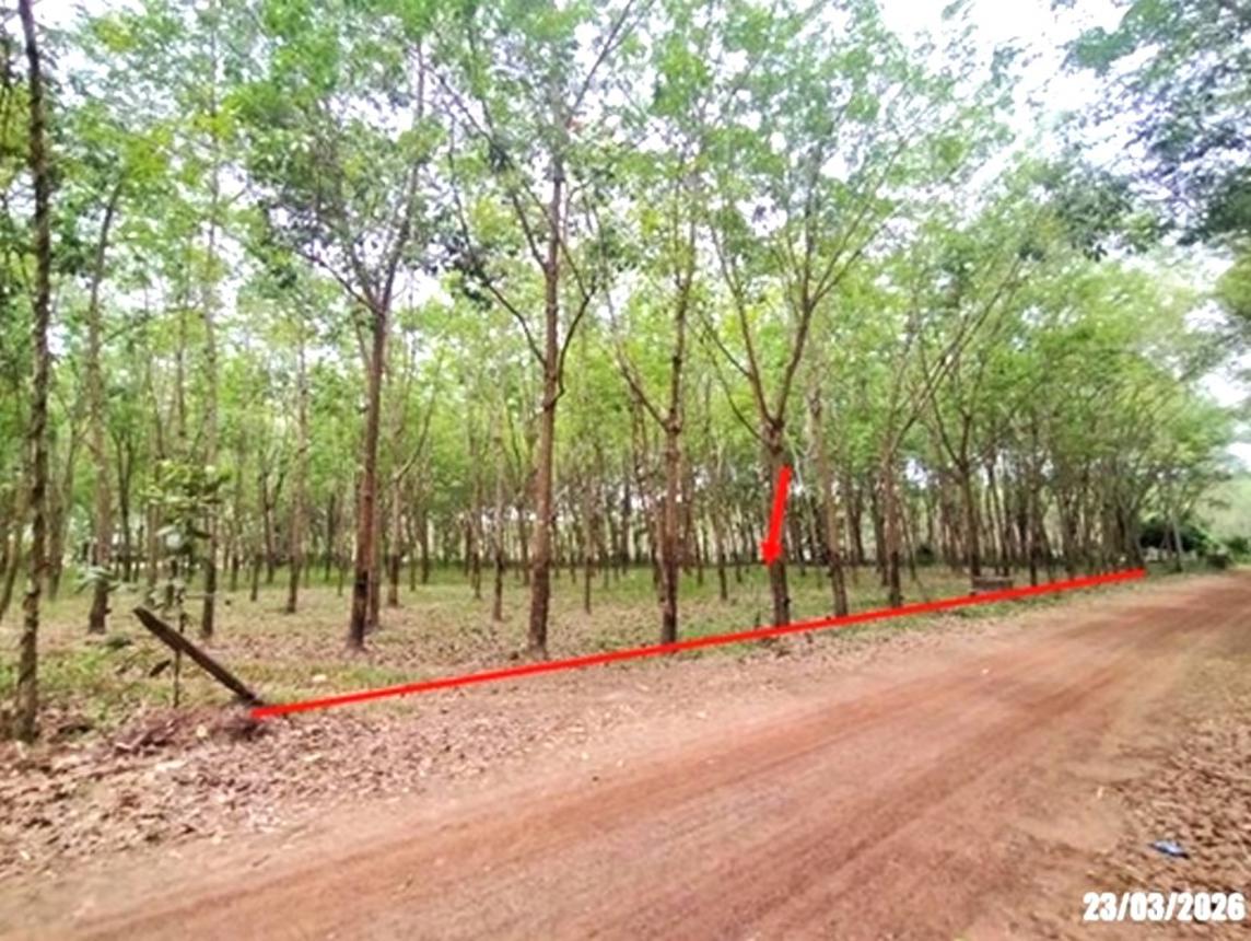 ที่ดินว่างเปล่า บ้านดง อุดรธานี