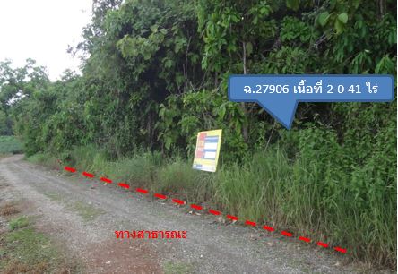 Empty land in the project of Pak Chai Tai, Lamphun